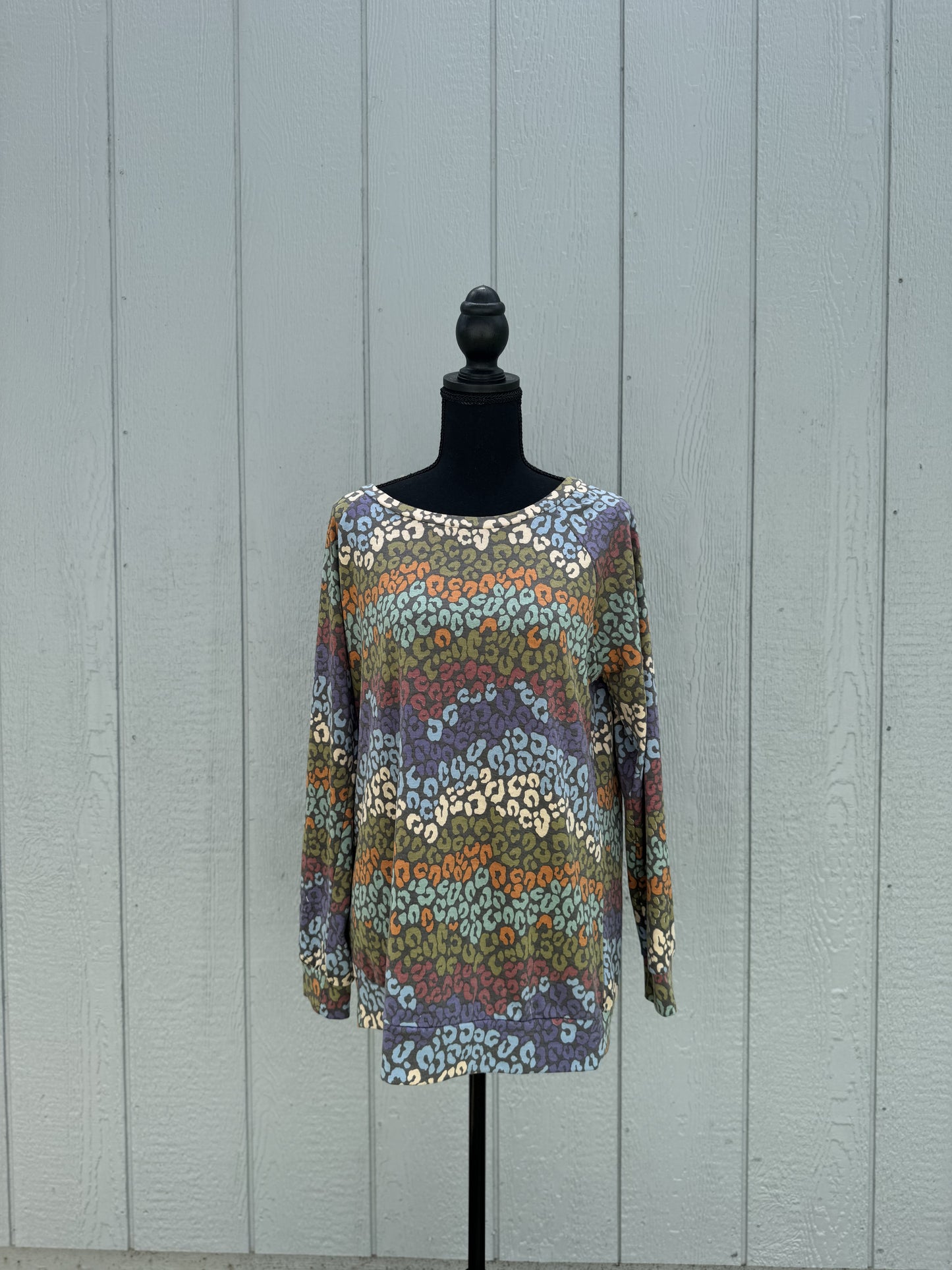 Animal Print Long Sleeve Top