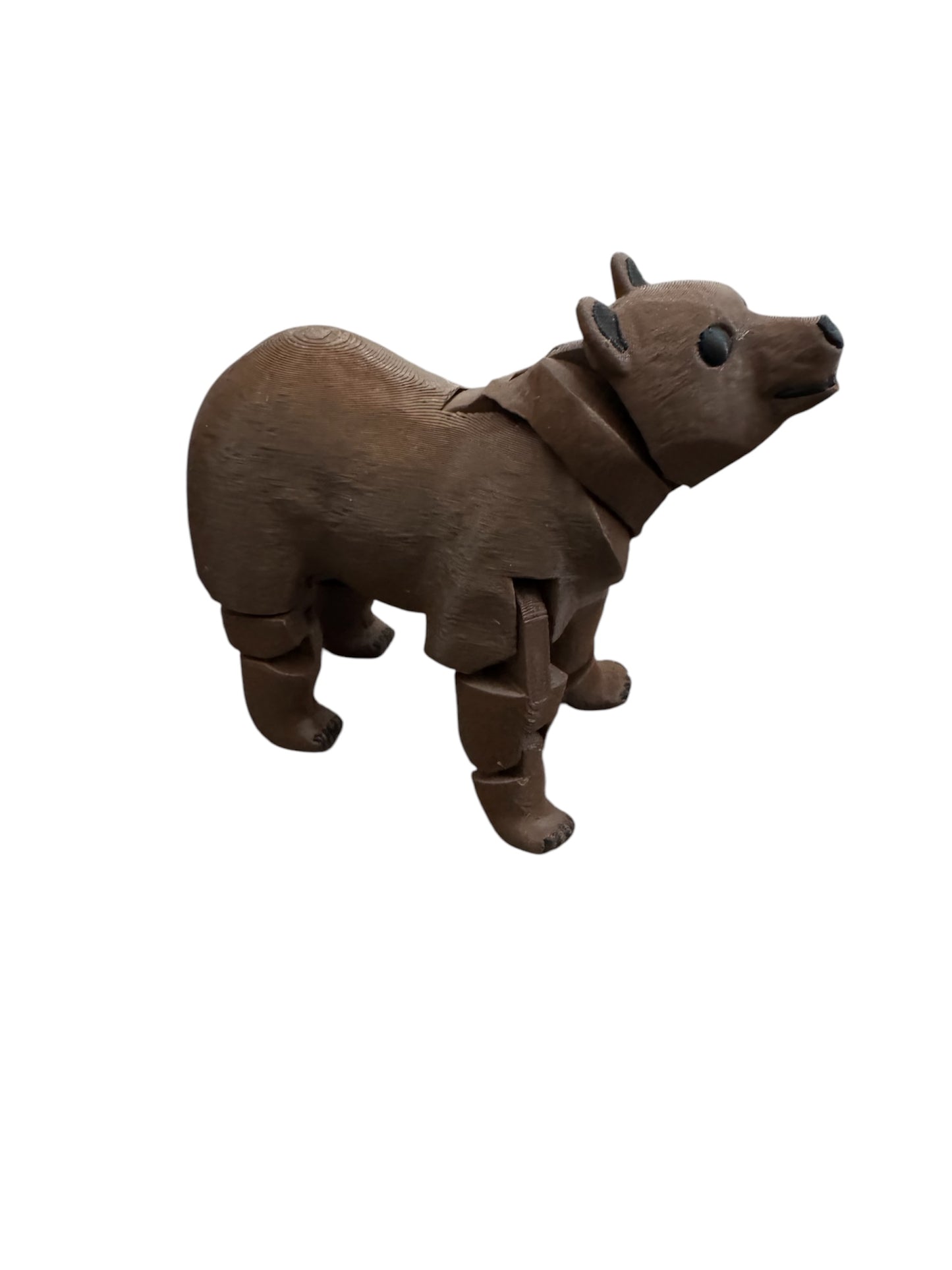Brown Bear